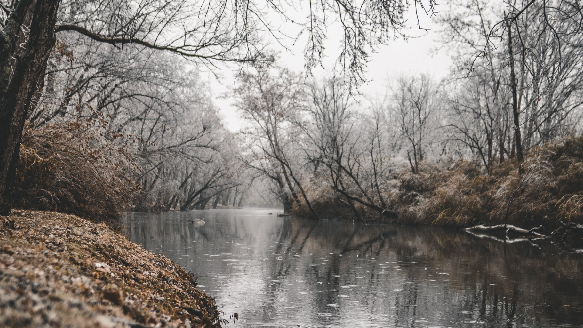 Survival Guide to Camping in the Rain
