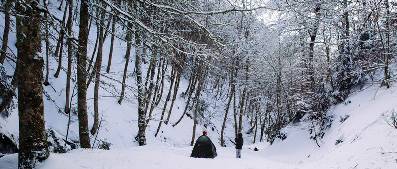 Top 5 Places To Winter Camp In The US