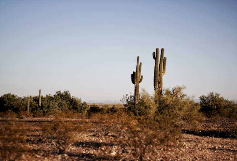 Where To Camp in Texas 