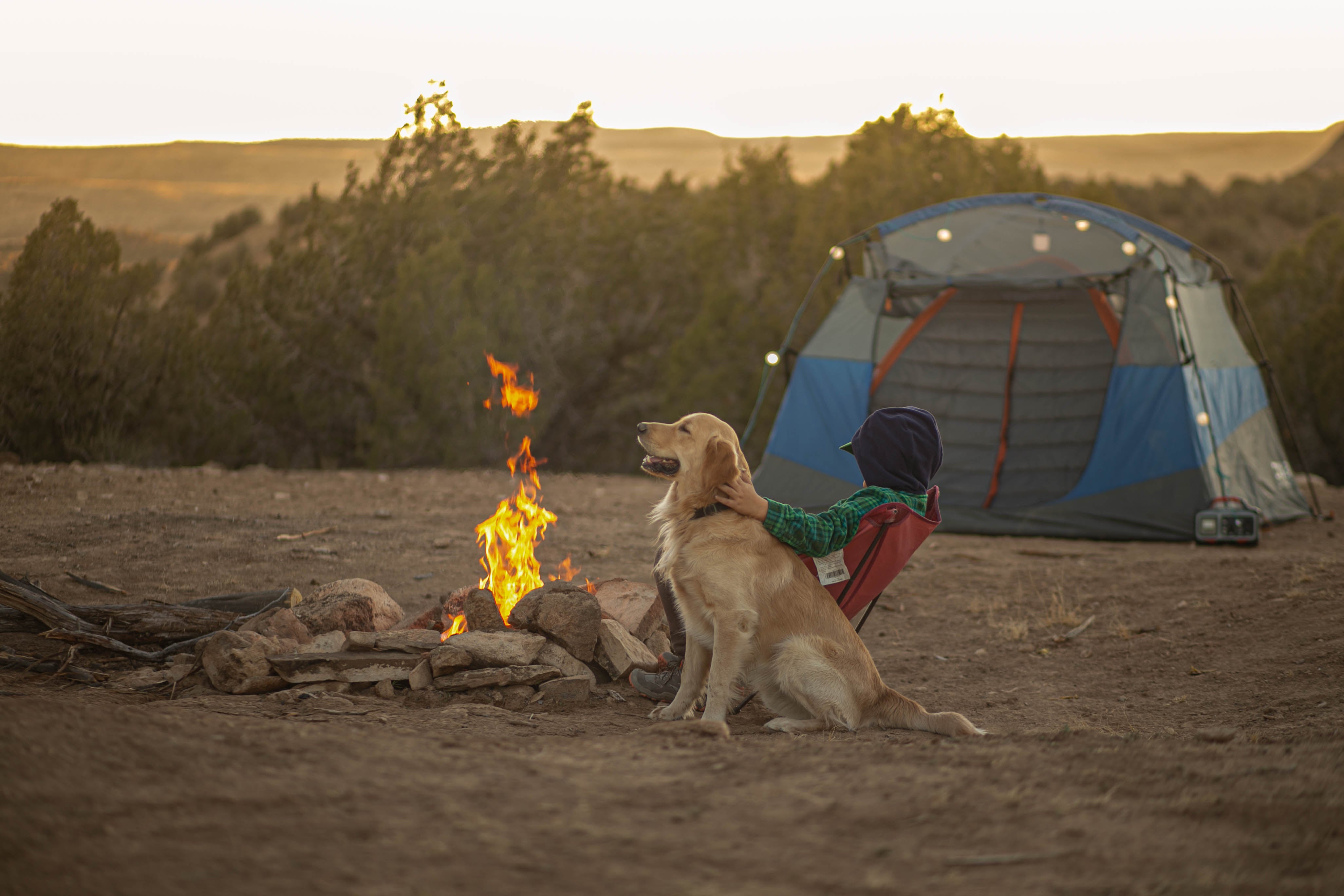 Top Family Camping Trip Ideas